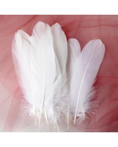 50pcs Natural Goose Feathers Plumes 15-20cm White Feather Plume for Home Decoration Craft DIY Party Jewelry Decoration