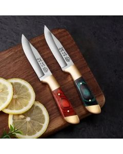 Sharp Fruit Knife, Outdoor Boning-Knife, EDC Portable pocket-Knife, Lamb Chop-Knife, BBQ knife, Survival-Knife, cutting-Knife