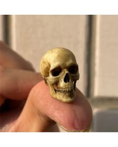 High Quality 1:12 Skeleton Skull Miniature Model for Halloween Home Decor Dollhouse Plant Fish Tank Decoration