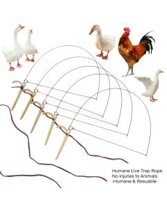 Professional Bird Trap for Chicken Pheasant Wild Duck Partridge Mallard Tying Birds' feet Won't Hurt Them