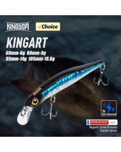 Kingdom Sinking Minnow Bait 60 80 95 105mm Vibrate Sinking Jerkbati Swimbait Magnet Trasnfer Long Casting Hard Fishing Lure